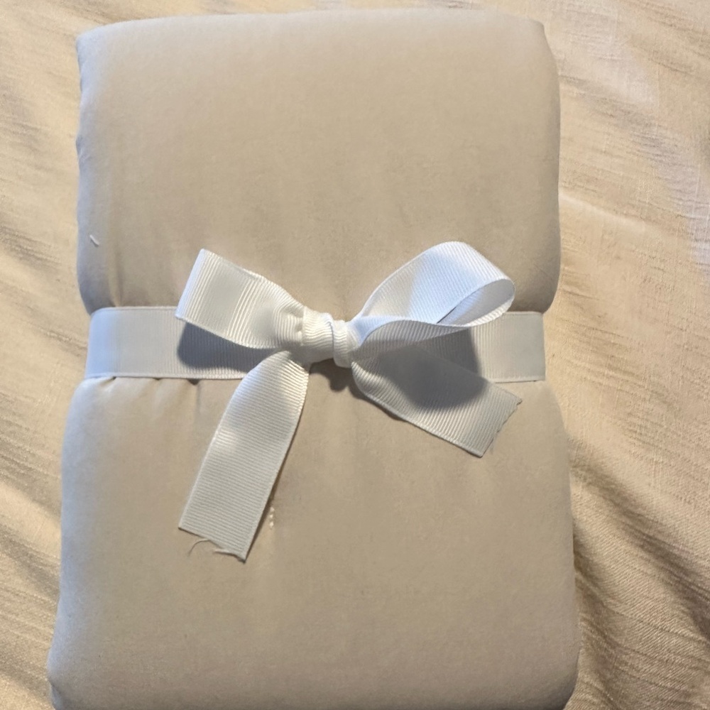 Pottery  barn standard pillow sham.